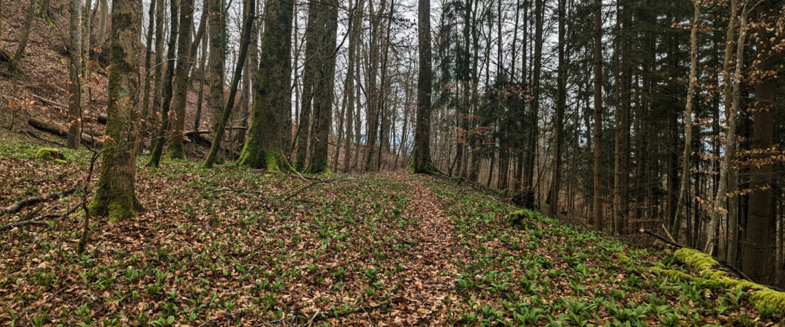 Rund um Klingnau & Döttingen