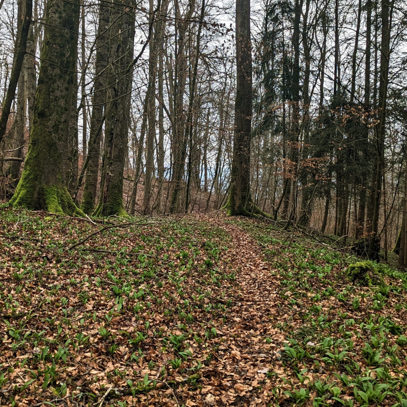 Rund um Klingnau & Döttingen